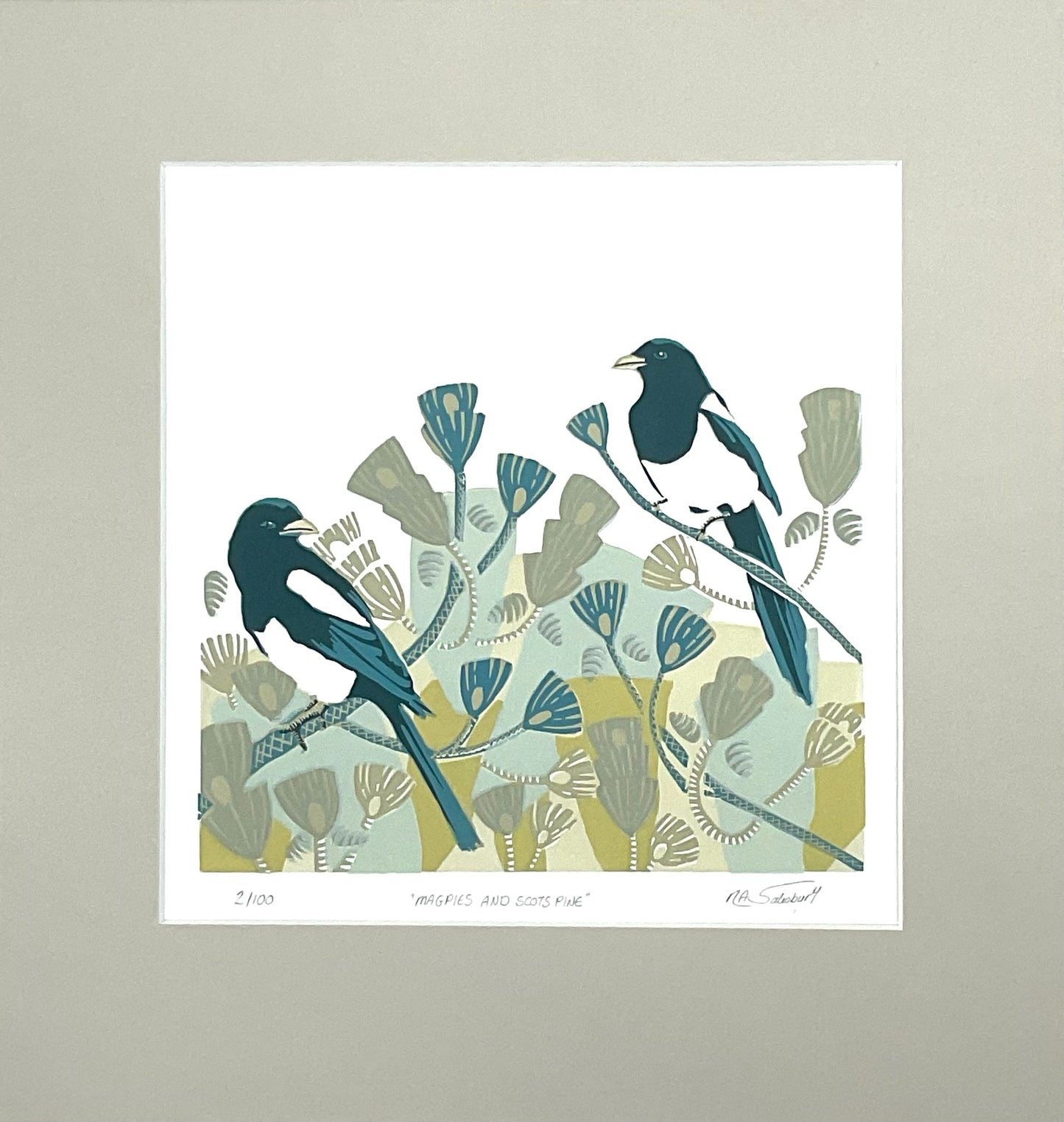 Magpies and Scots Pine