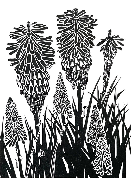 A modern style black and white print in a bold slightly tribal style showing part of a Red Hot Poker plant in close up. The flower heads are shown in various stages of opening, some smaller and more tightly closed and others larger, more open and showing the seeds developing down the stems.  There are seven flower heads in all.  Long strappy leaves punctuate the flower heads.    