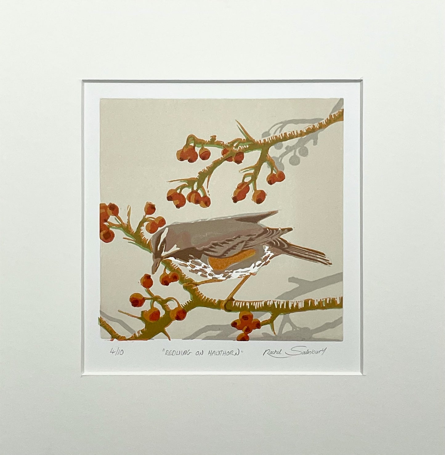 A Redwing is perched on a hawthorn branch. It is leaning forwards towards the ripe berries. The image is a close up view with just a few sections of the branches and the bird filling the page. The style is quite loose. The background is a cool beige with distant greyish branches silhouetted in the mid ground. Warmer colours of browns, oranges, reds and greens in the foreground make for a Christmassy scene.  The picture is mounted in soft white mountboard using a border of 50mm 