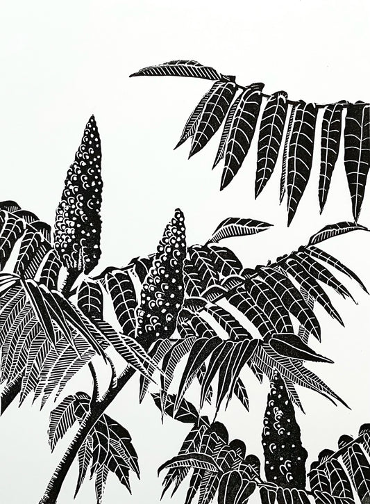 A modern style black and white print in a bold slightly tribal style showing part of a Sumac tree in close up. Three conical flower heads are shown amongst the leaves and stems. 