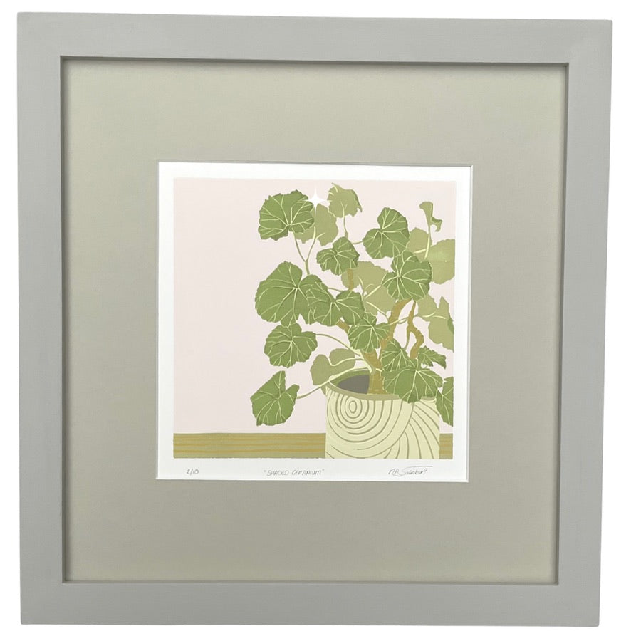 a leafy indoor geranium plant in a modern, famine style. The foliage is in various sage greens.  The pot is a cream colour with a swirling geometric design. The ledge that the pot is sitting on is just showing at the bottom and the background is a flat, warm delicate pink.  A stone coloured mount and warm grey painted wooden frame surround.