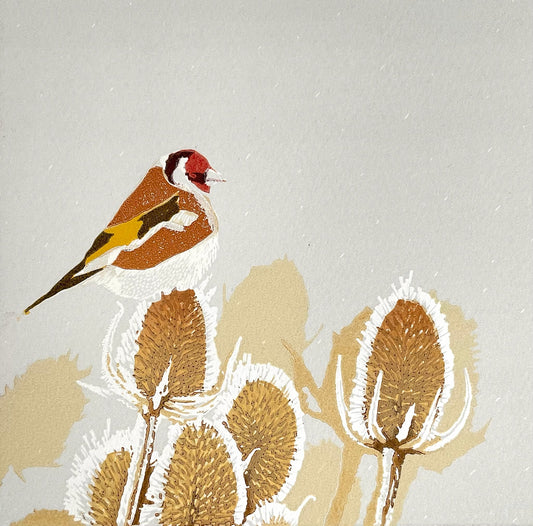 A wintery scene of a Goldfinch perched on the dried heads of Teasel plants.  The background is a cool grey sky with tiny flecks of white snow falling.  The Goldfinch sits atop one of the teasel heads on the left hand side of the picture in profile, facing right  and is shown in its natural colours of red, brown, white and gold with dark brownish black details.  The teasel heads show snow gathered between the spikes.