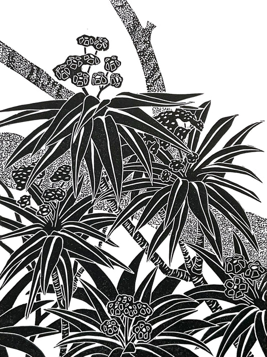 A modern style black and white print in a bold slightly tribal style showing part of a Honey Spurge plant in close up.  Five groups of leaves and flowers are shown atop the woody stems and a branch of a tree is shown running diagonally across the picture as a backdrop.  