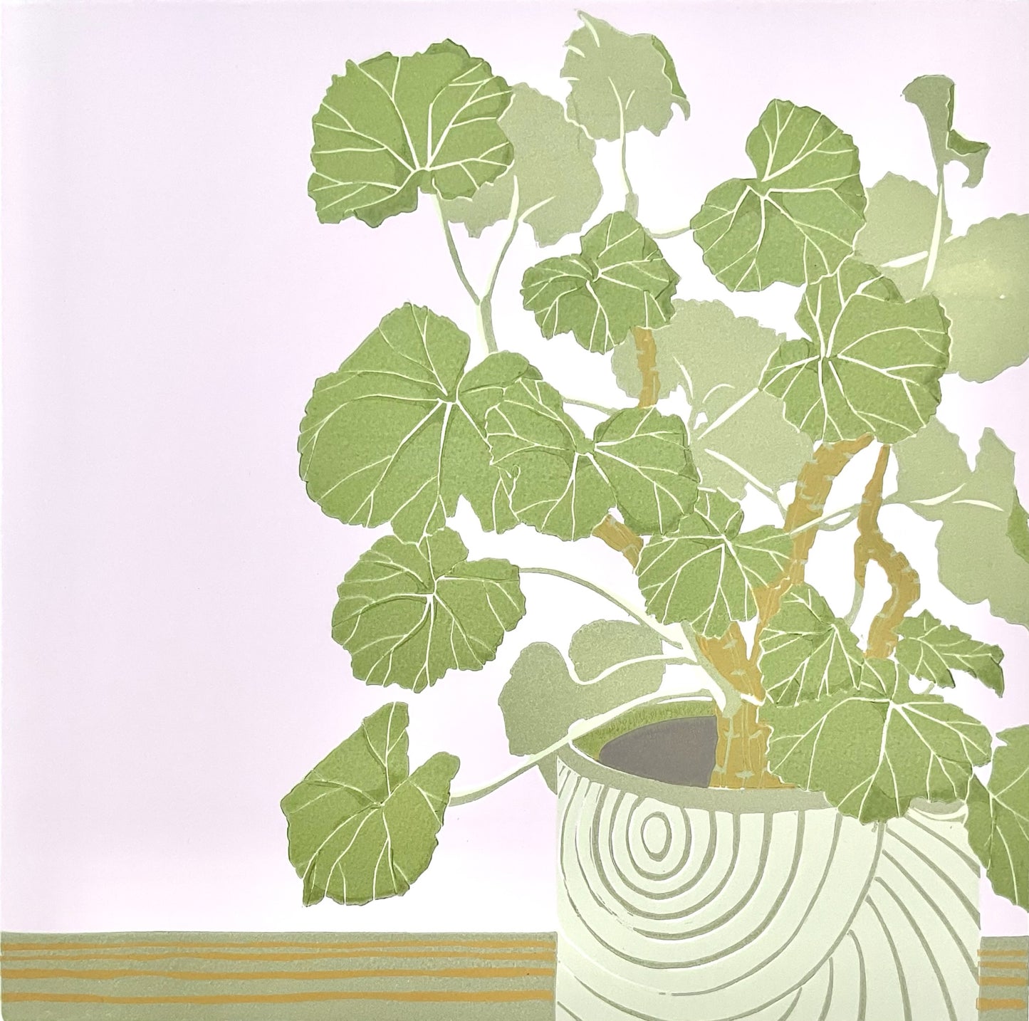 a leafy indoor geranium plant in a modern, famine style. The foliage is in various sage greens. The pot is a cream colour with a swirling geometric design. The ledge that the pot is sitting on is just showing at the bottom and the background is a flat, warm delicate pink.