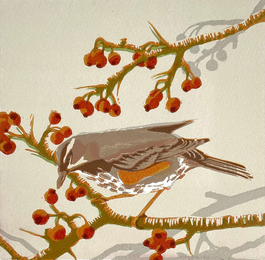 A Redwing is perched on a hawthorn branch.  It is leaning forwards towards the ripe berries.  The image is a close up view with just a few sections of the branches and the bird filling the page.  The style is quite loose.  The background is a cool beige with distant greyish branches silhouetted in the mid ground.  Warmer colours of browns, oranges, reds and greens in the foreground make for a Christmassy scene.