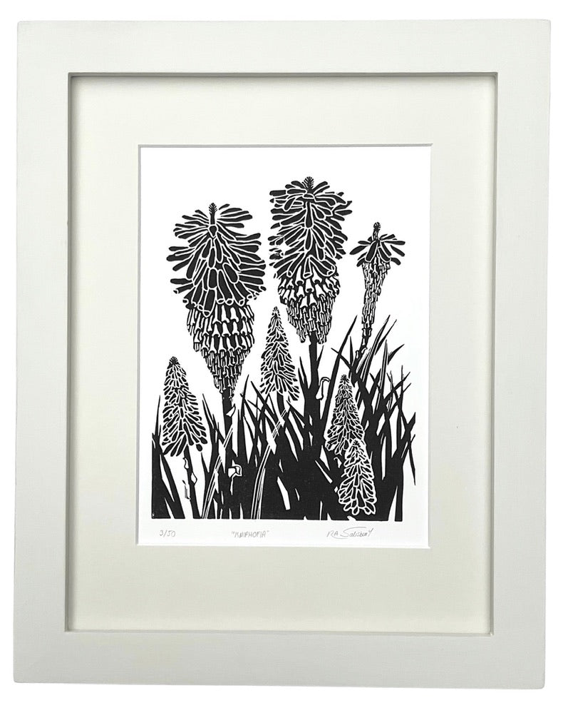 A modern style black and white print in a bold slightly tribal style showing part of a Red Hot Poker plant in close up. The flower heads are shown in various stages of opening, some smaller and more tightly closed and others larger, more open and showing the seeds developing down the stems. There are seven flower heads in all. Long strappy leaves punctuate the flower heads.  An off white mount surrounds the print with a matching painted wooden frame. 