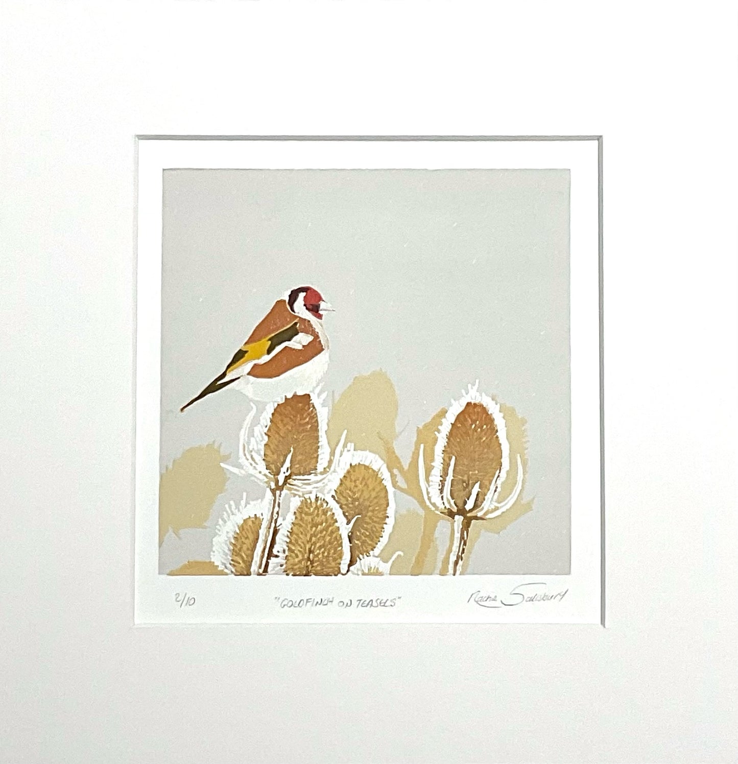 Goldfinch on Teasels